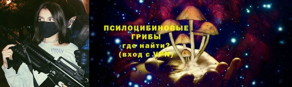 прущий лед Богородицк
