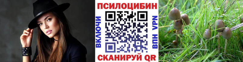 Псилоцибиновые грибы Psilocybine cubensis  Бобров 